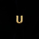 Petite lettre u (10mm)