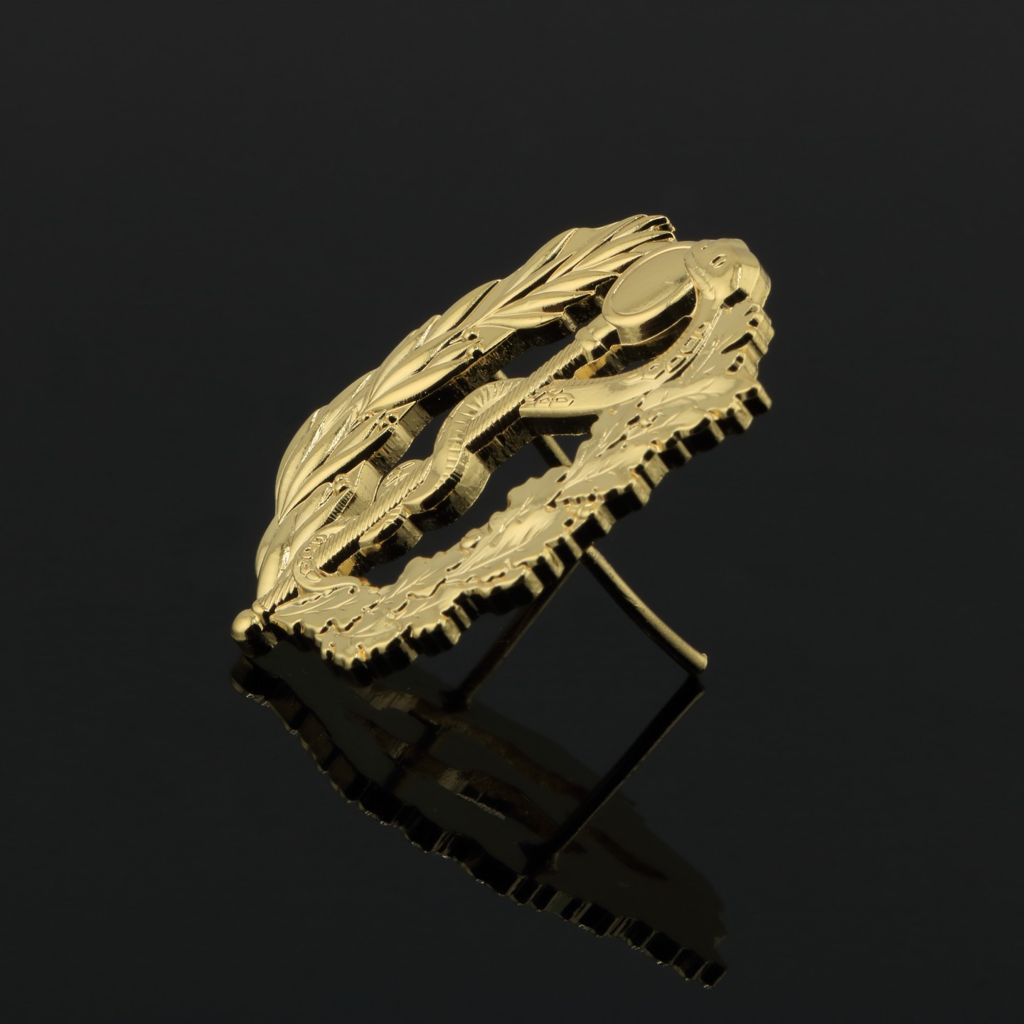 Caduc&eacute;e M&eacute;decine : &Eacute;tudiant en M&eacute;decine