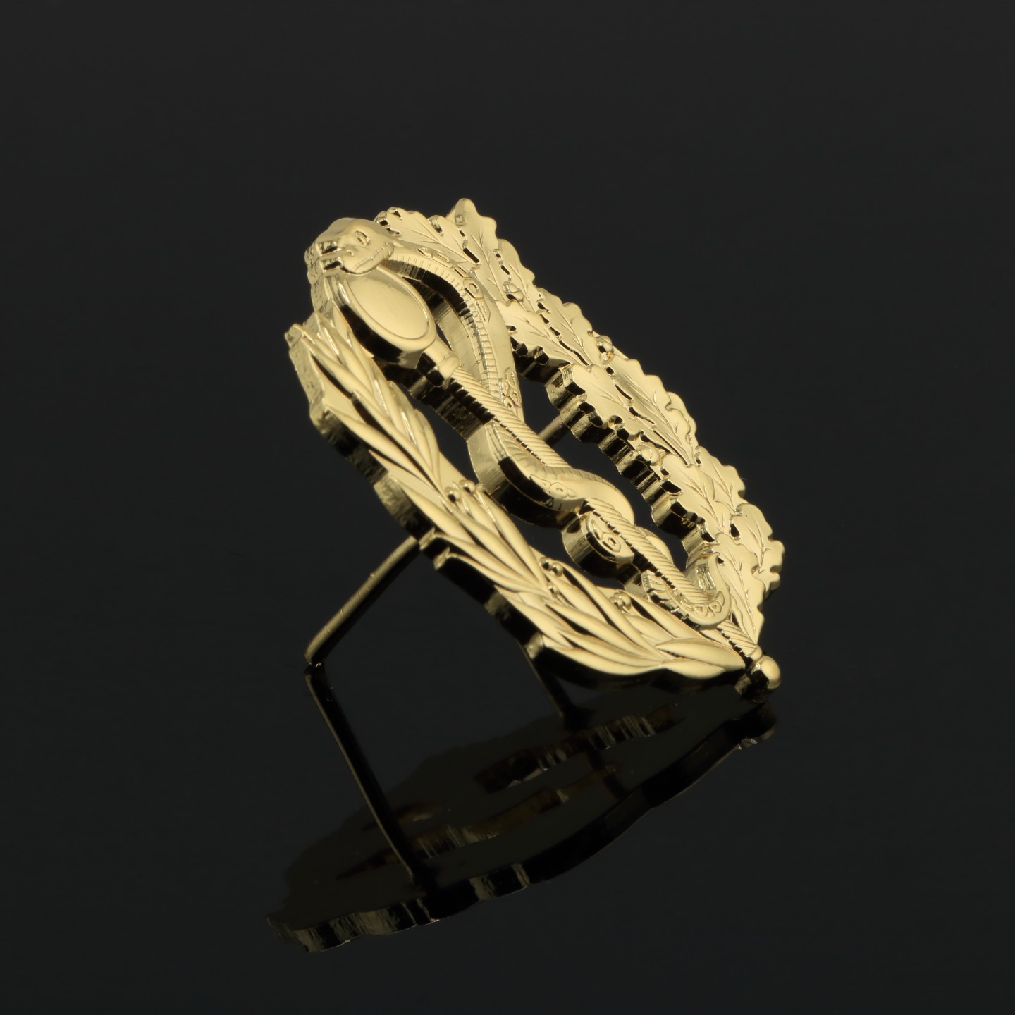 Caduc&eacute;e M&eacute;decine : &Eacute;tudiant en M&eacute;decine