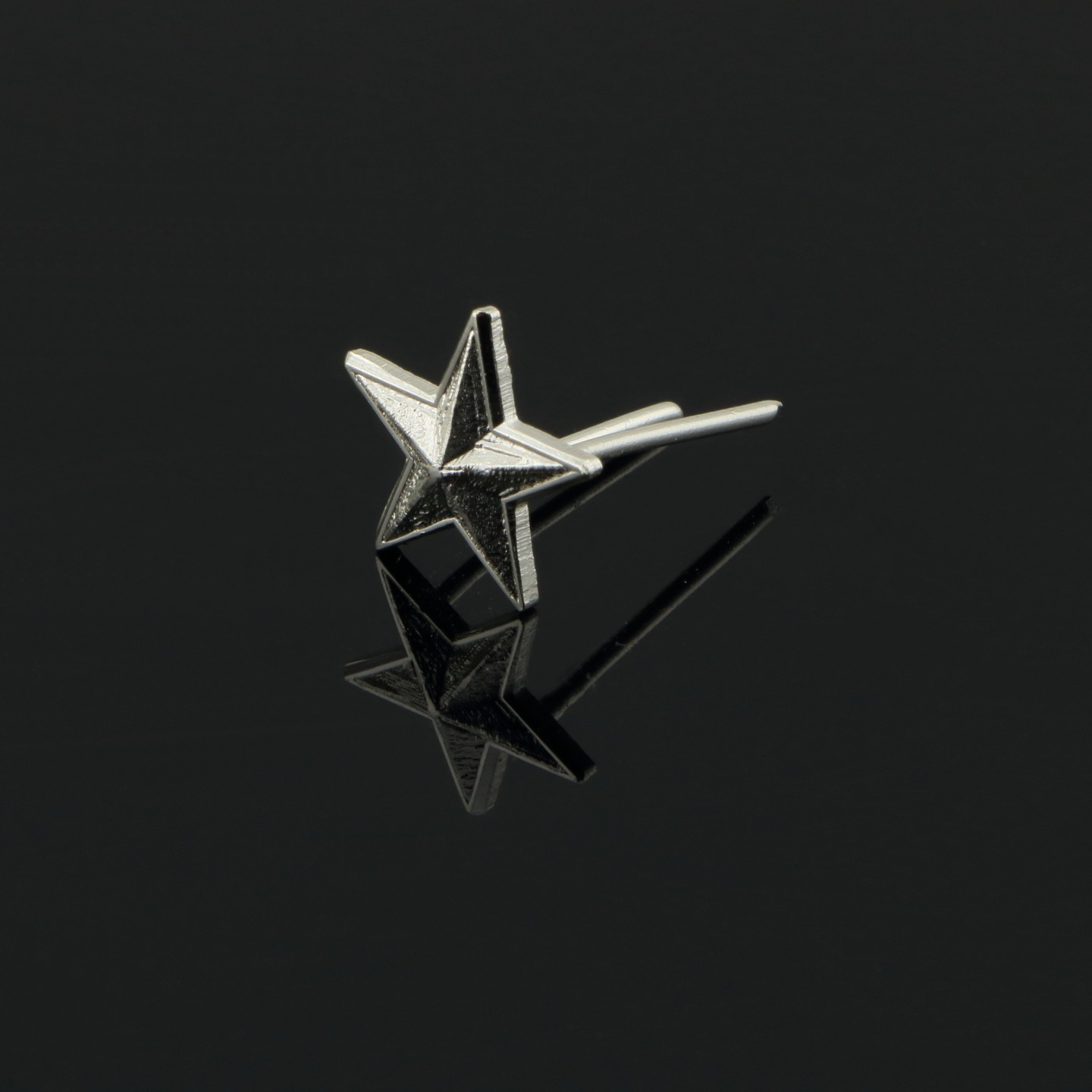 &Eacute;toile Argent&eacute;e : Symbole de t&eacute;nacit&eacute; et de seconde chance