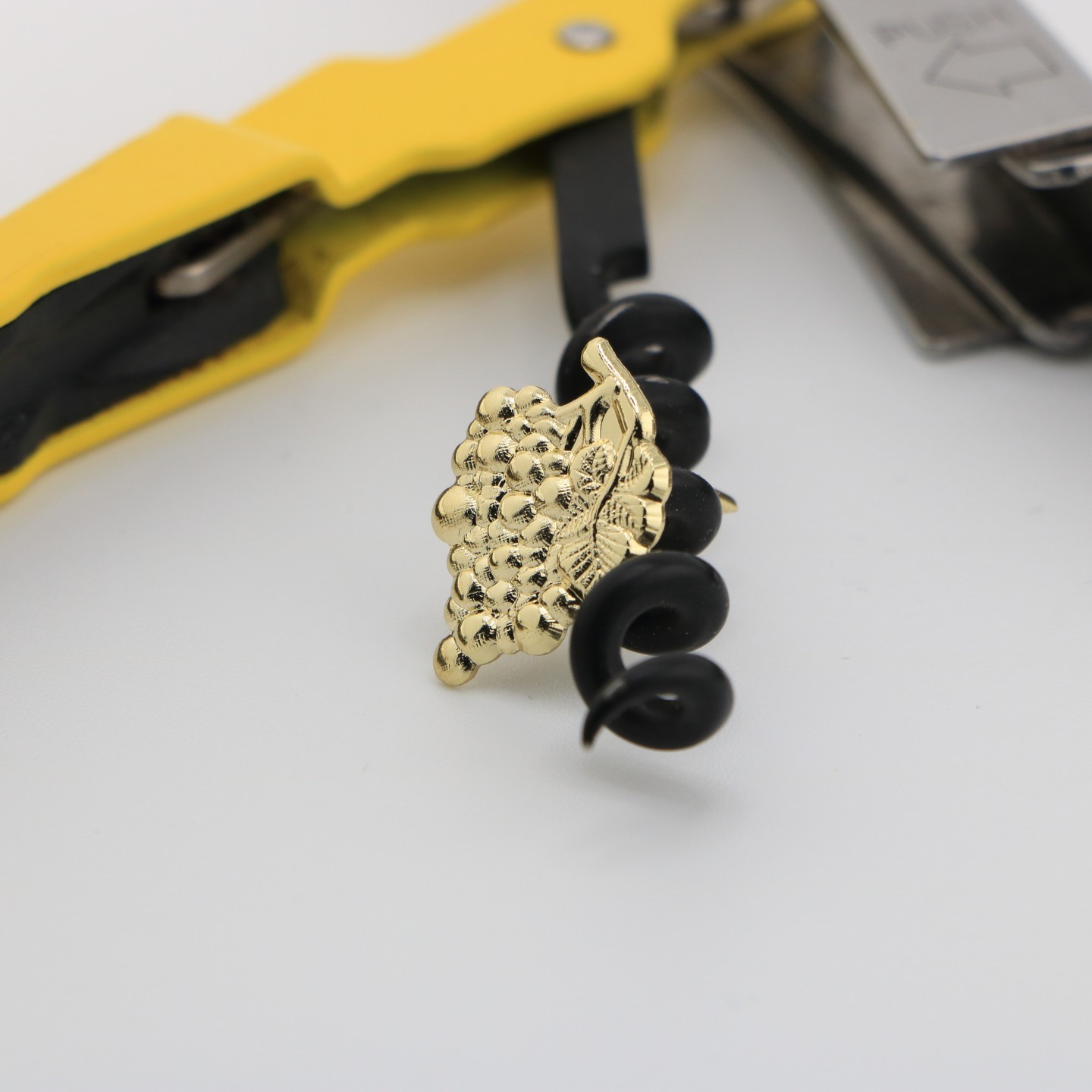 Grappe de Raisin : Amour du bon vin et &eacute;tude en &OElig;nologie