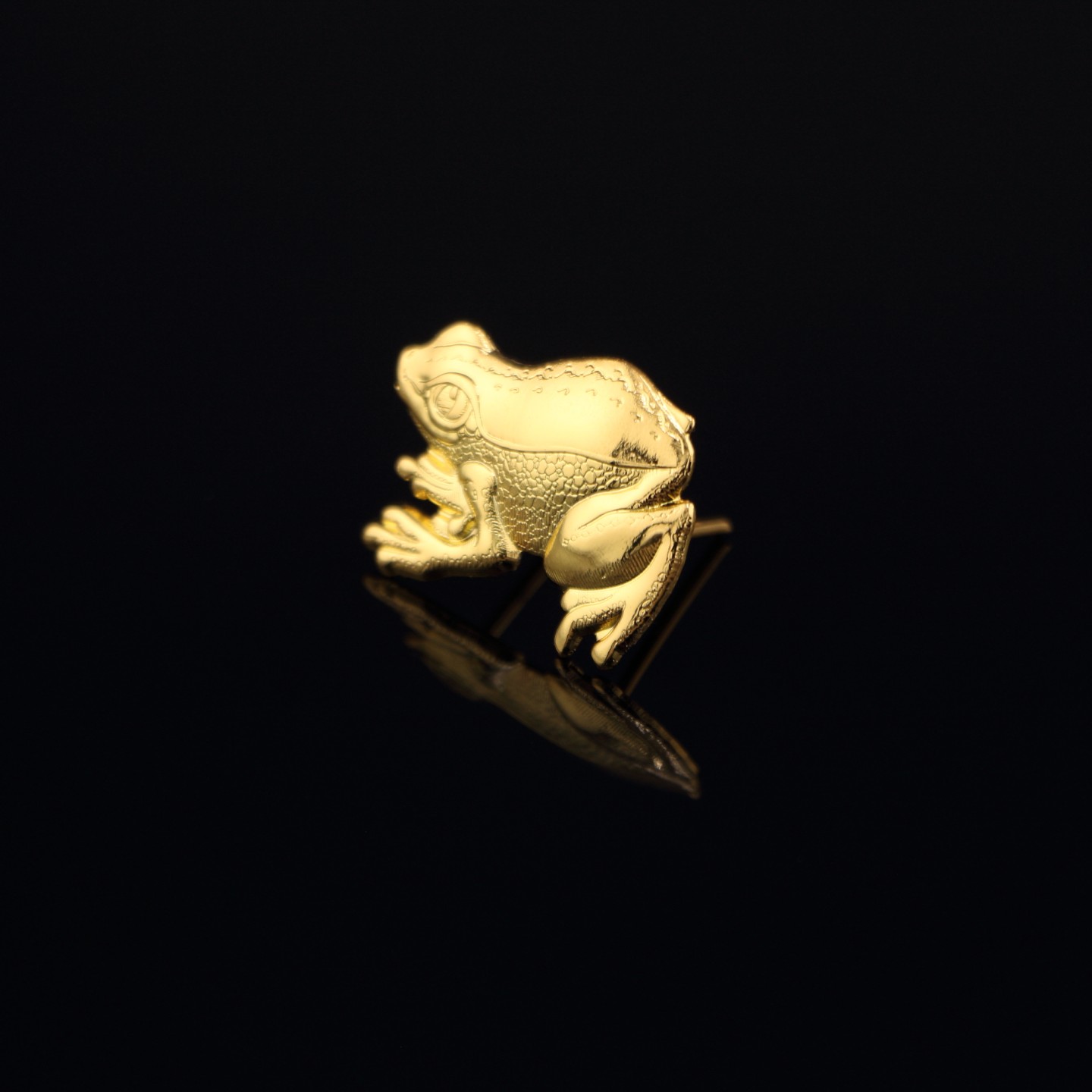 Grenouille Dor&eacute;e : Insigne d&rsquo;&Eacute;lu au conseil d&rsquo;universit&eacute;