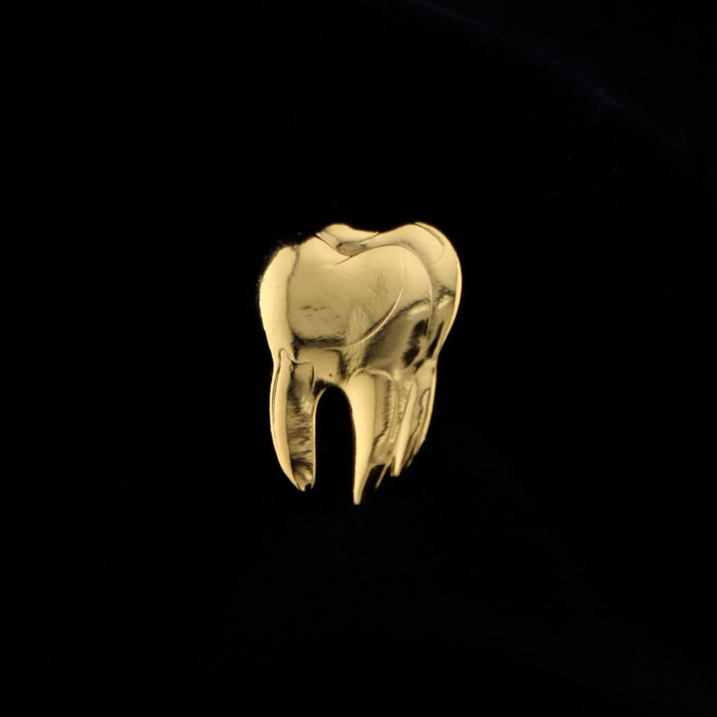 Molaire : &Eacute;tudiant en Chirurgie Dentaire