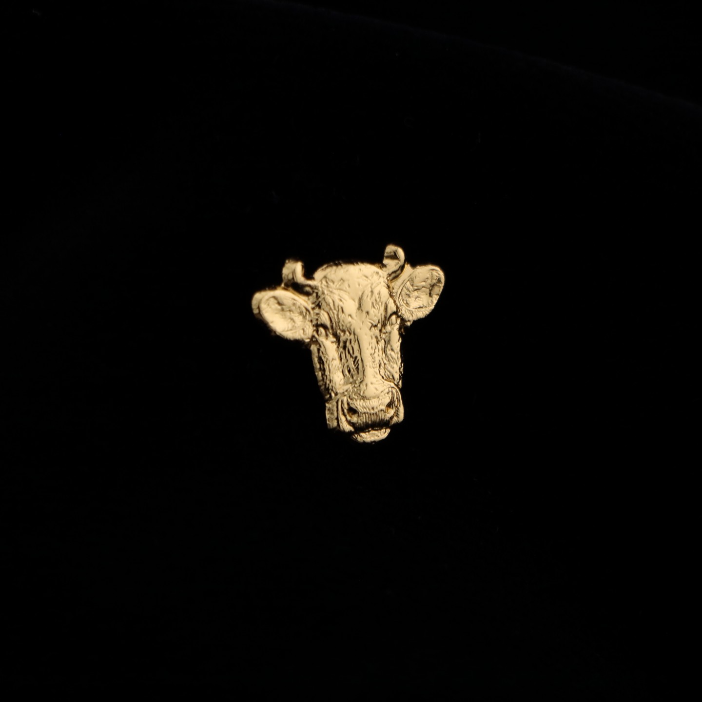 T&ecirc;te de Vache : Symbole de r&eacute;silience et de r&eacute;ussite