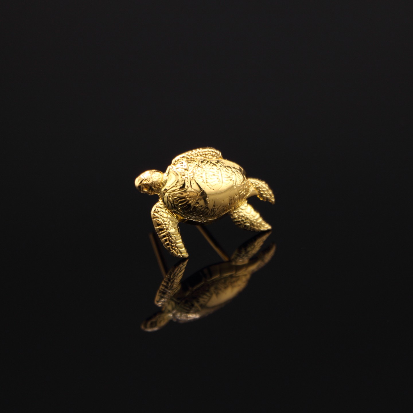 Tortue Dor&eacute;e : Insigne d&rsquo;&Eacute;lu CNOUS