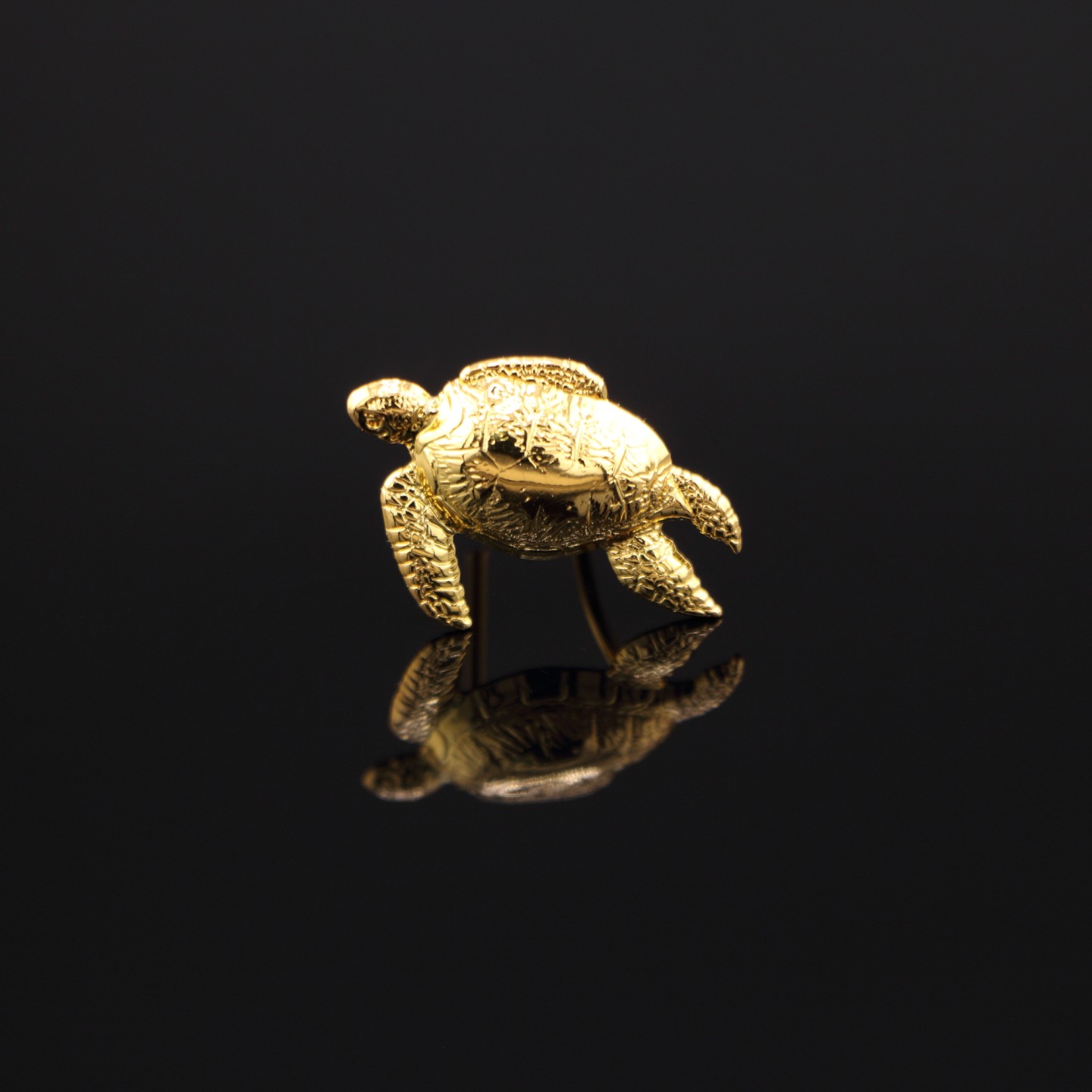 Tortue Dor&eacute;e : Insigne d&rsquo;&Eacute;lu CNOUS