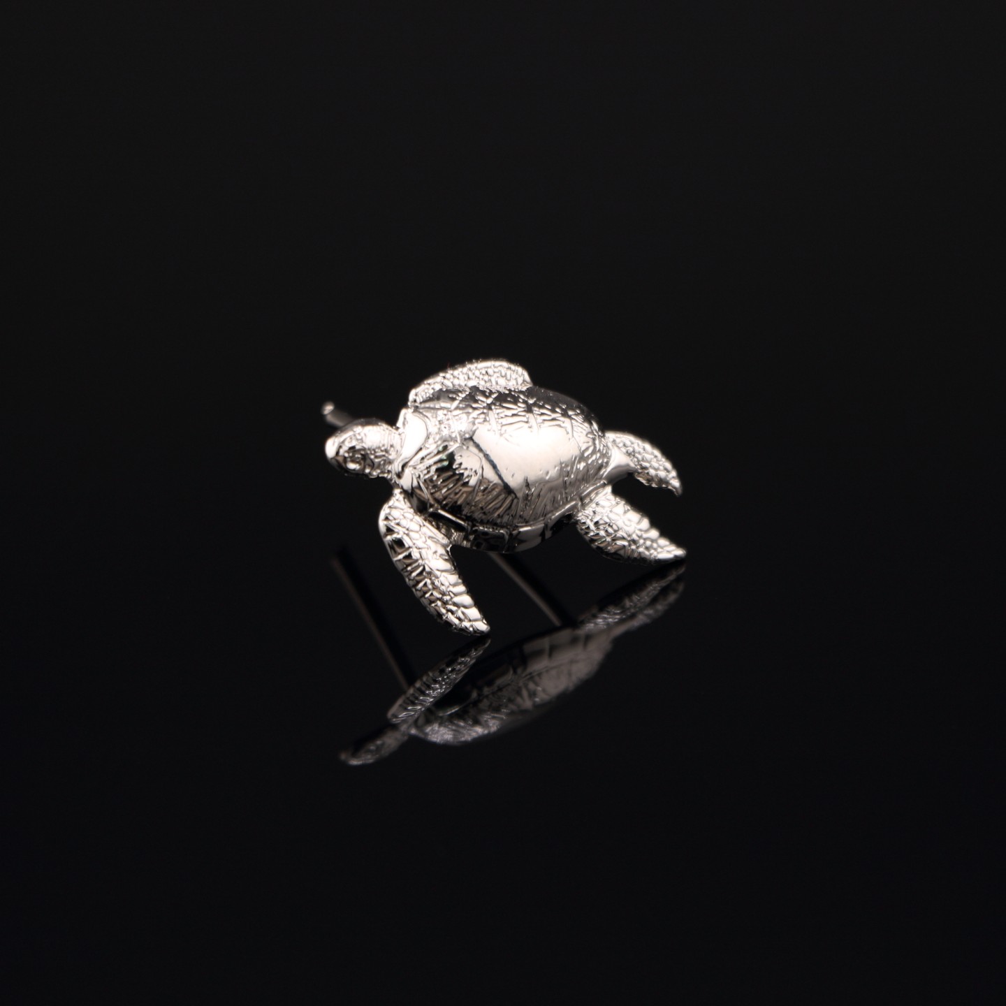 Tortue Argent&eacute;e : Insigne d&rsquo;&Eacute;lu CROUS