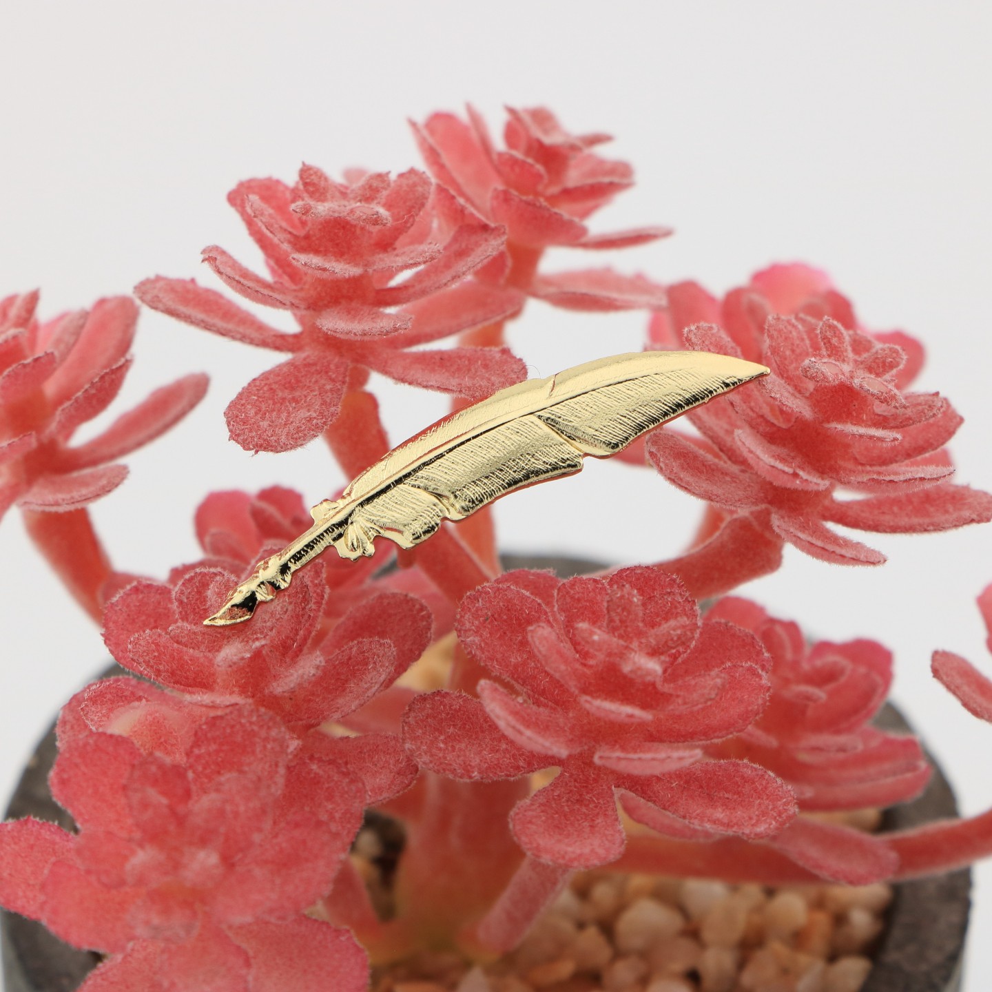 Plume : Symbole des passionn&eacute;s de litt&eacute;rature