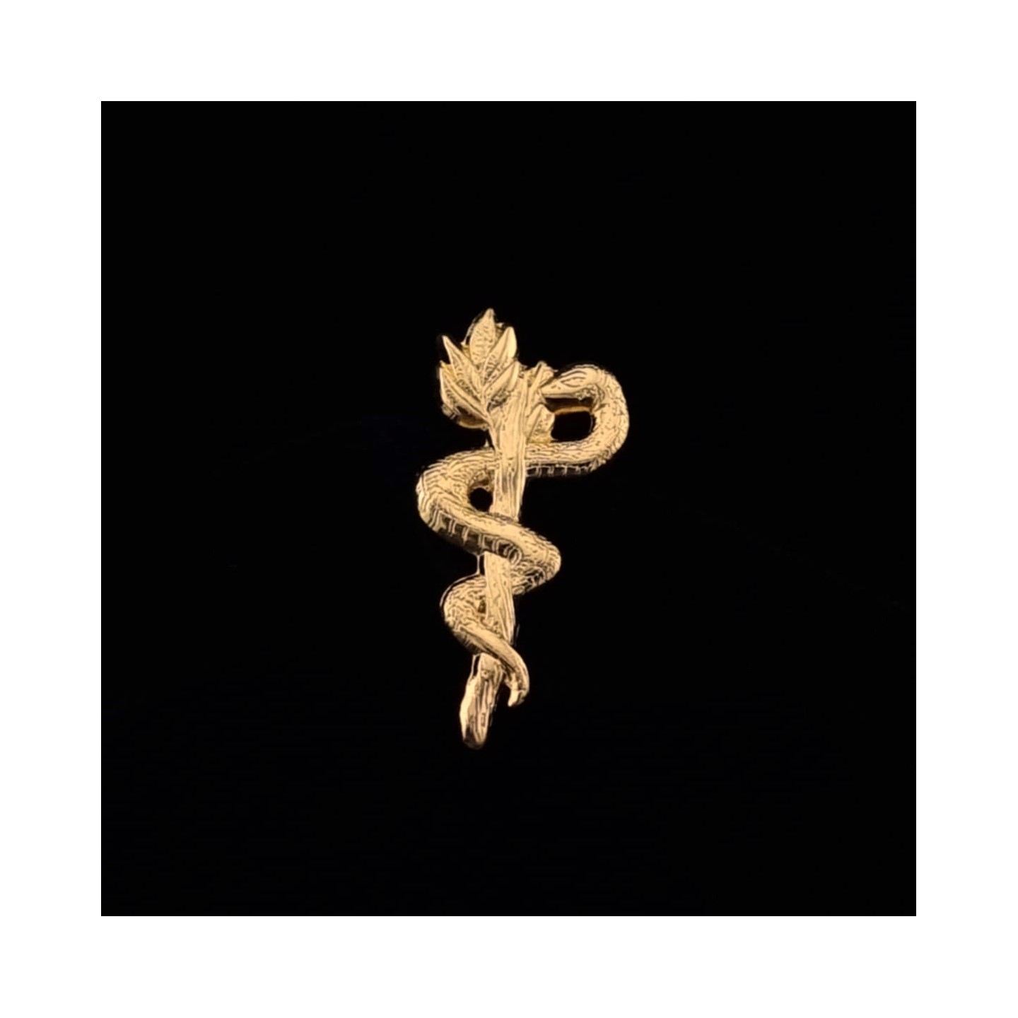 Caduc&eacute;e infirmier : &Eacute;tudiant Infirmier