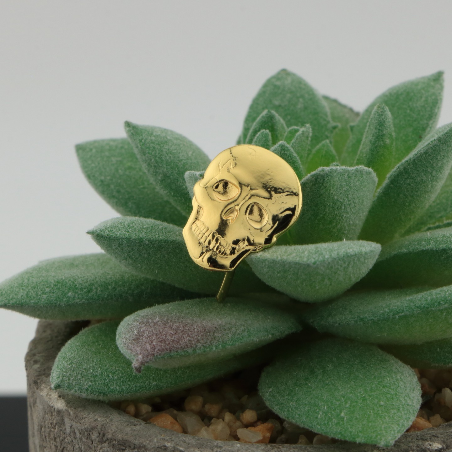 T&ecirc;te de Mort : Symbole de choix et de renouveau