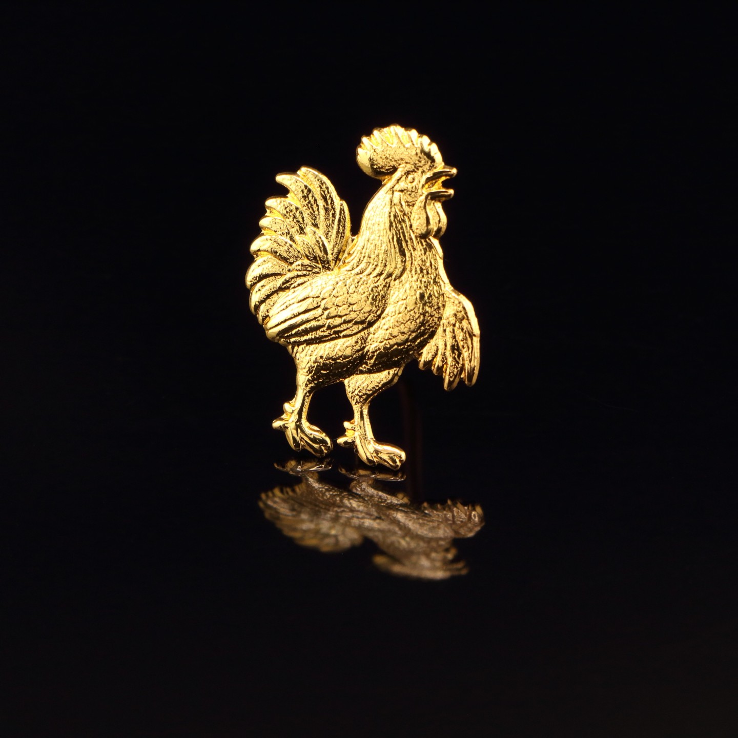 Coq : &Eacute;tudiant en fili&egrave;re sportive