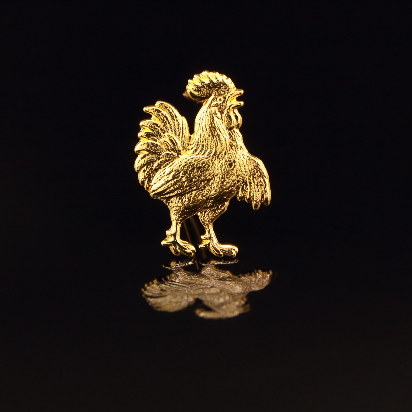 Coq : &Eacute;tudiant en fili&egrave;re sportive