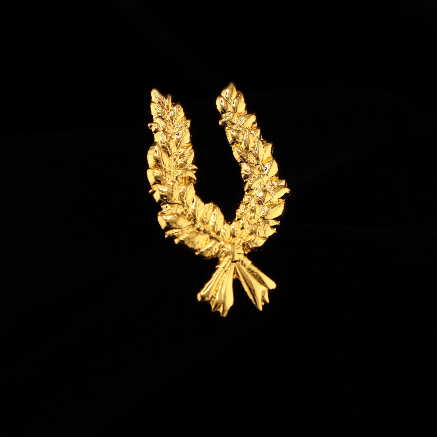 Palme de Dipl&ocirc;me : Symbole de r&eacute;ussite et de pers&eacute;v&eacute;rance