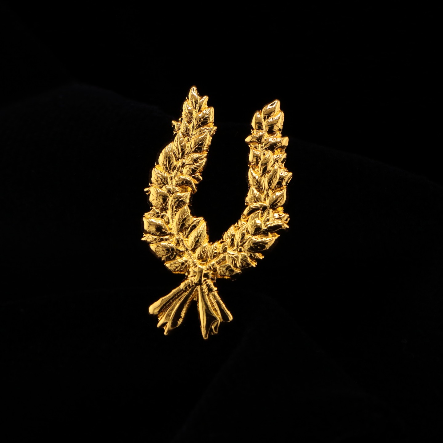 Palme de Dipl&ocirc;me : Symbole de r&eacute;ussite et de pers&eacute;v&eacute;rance