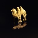 Chameau : Symbole d&rsquo;ind&eacute;pendance ou de complicit&eacute;